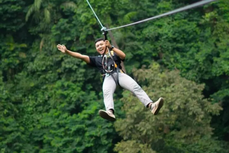 The Bogor Treetop Zipline: A Wild Ride Through the Forest