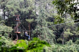 The Bogor Treetop Zipline: A Wild Ride Through the Forest